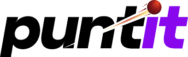 puntit logo